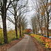 Von-Elverfeldt-Allee (Witten-Herbede) / 6.11.2021