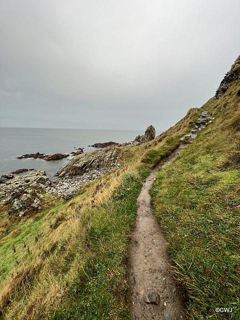 Part of the "path" on the Coastal Trail between Cullen and Findlater Castle