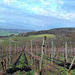 Blick zur Hemmessener Hütte