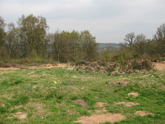 Heathland Restoration at Gospel End