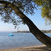 Ammersee