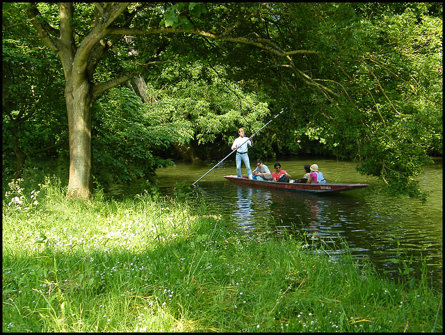 punting through the green