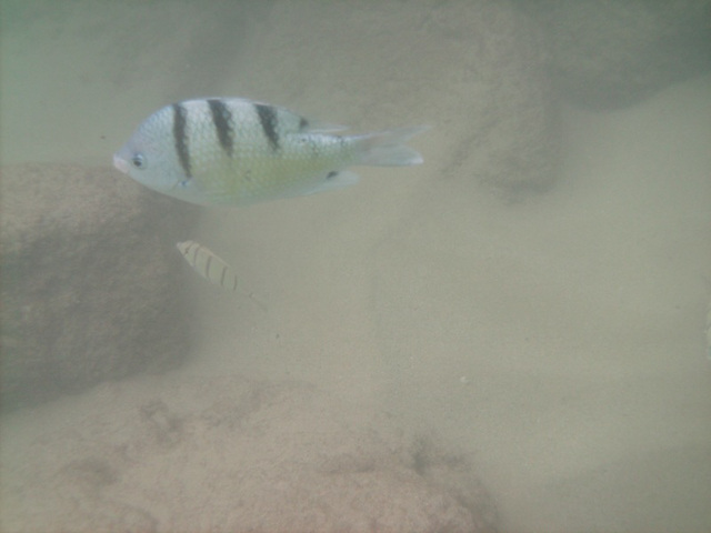 PICT0235.JPG