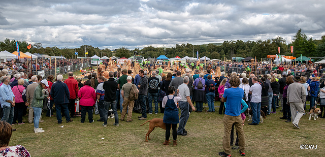 The Carrbridge World Chainsaw Carving Championship 2018