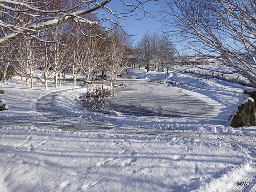 Snowplough operations needed this morning...