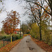 Von-Elverfeldt-Allee (Witten-Herbede) / 6.11.2021