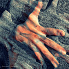 right hand only