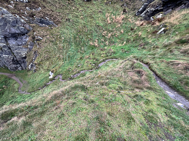 Part of the "path" on the Coastal Trail between Cullen and Findlater Castle