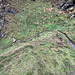 Part of the "path" on the Coastal Trail between Cullen and Findlater Castle