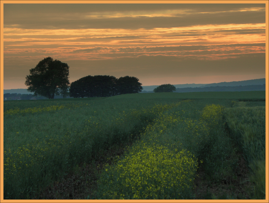 Vetschauer landscape