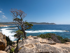 CORSICA - Punta di a Botta