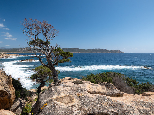 CORSICA - Punta di a Botta