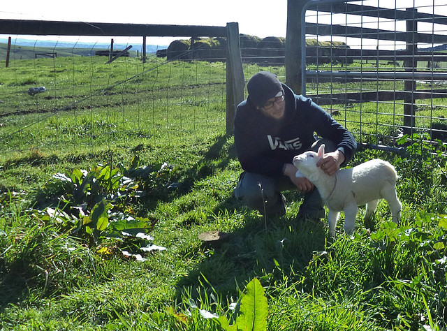 Gigot enjoys a scratch