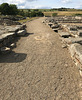 Vindolanda - Intervallum Road