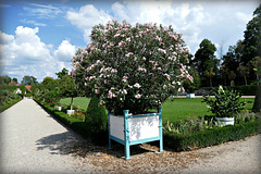 Aus dem botanischen Garten