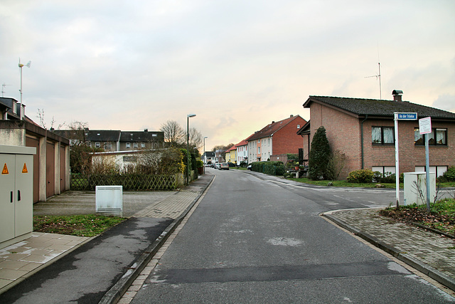 An der Tränke (Marl-Sickingmühle) / 12.12.2018