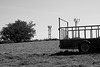 Tree, Trailer and Pylons