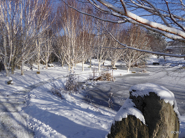 Snowplough operations needed this morning...