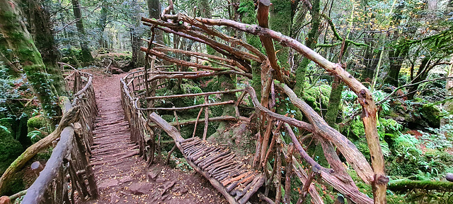 Puzzlewood