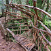 Puzzlewood