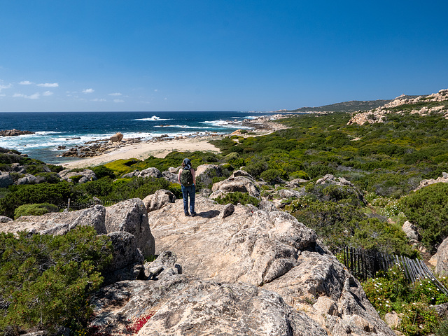 CORSICA - Murta Spana