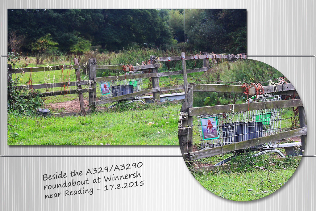 Shopping trolley out to pasture - Winnersh, Berks. 17.8.2015