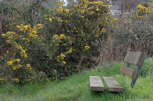 S'asseoir dans l'herbe