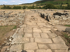 Vindolanda - West Gate