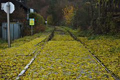 Leaves on the line!