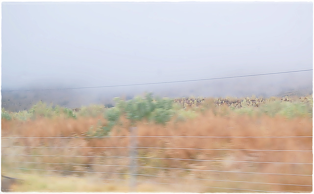 A fence, a wall and fog....