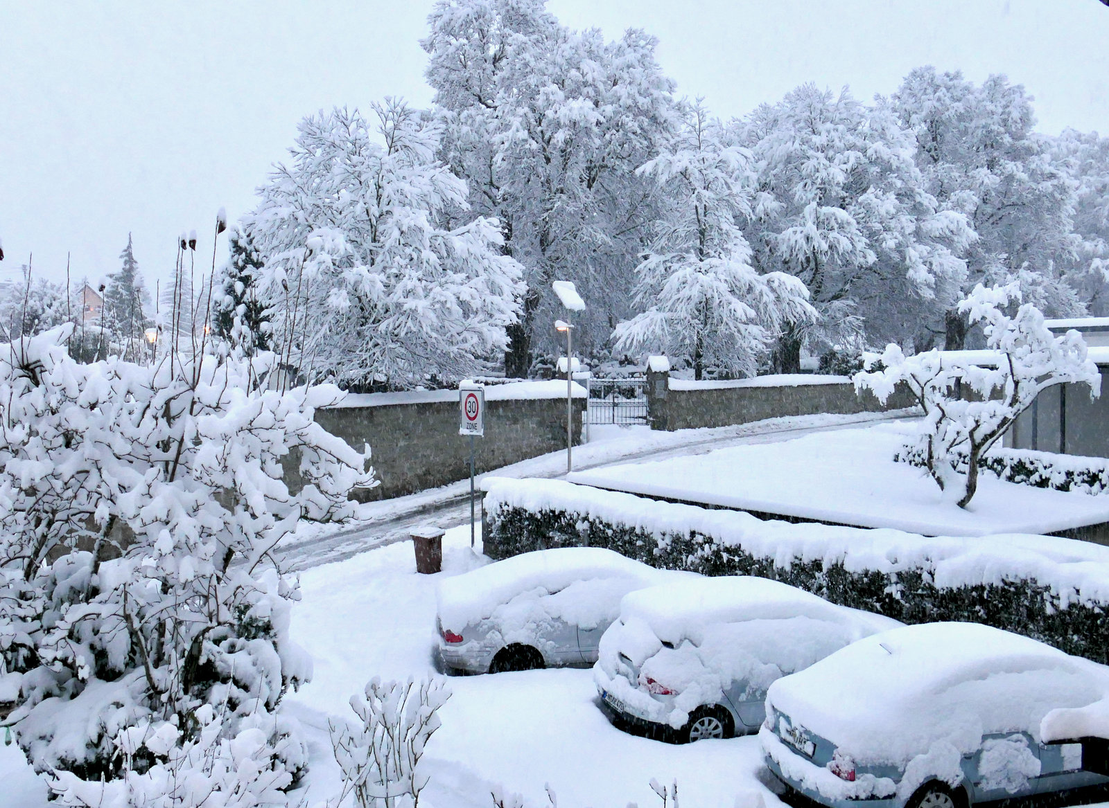Weiße Winterwelt