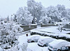 Weiße Winterwelt