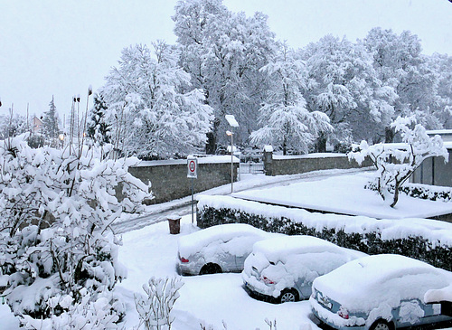 Weiße Winterwelt