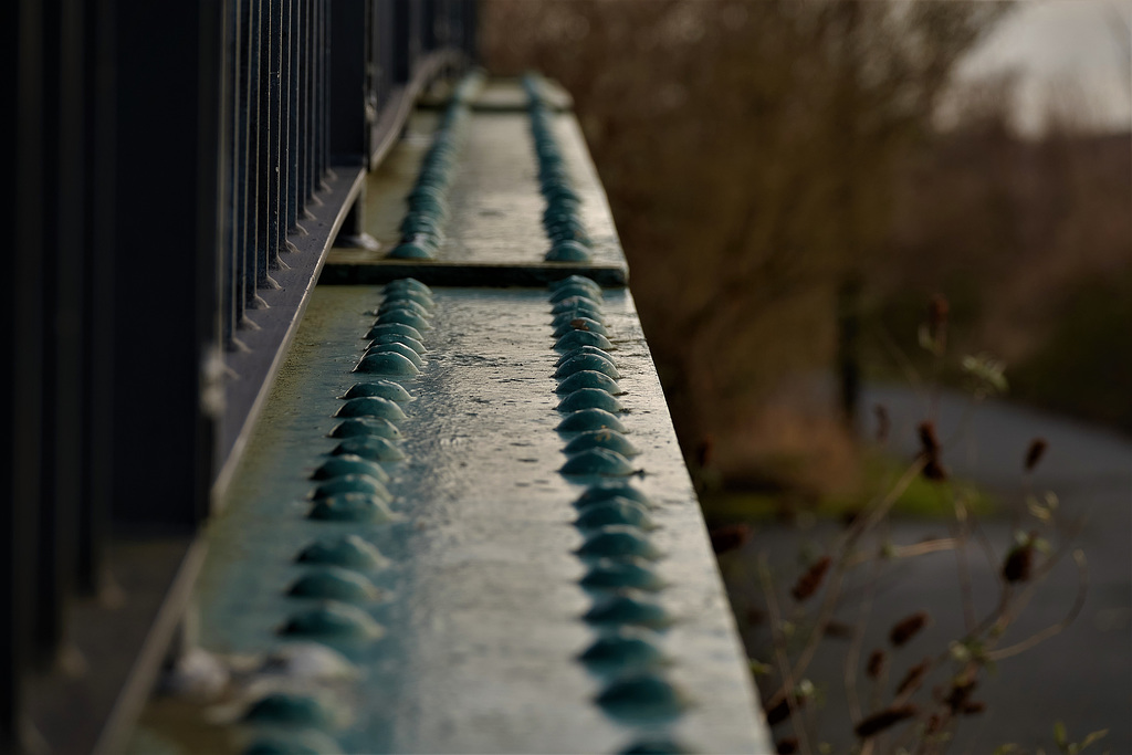 The Bridge