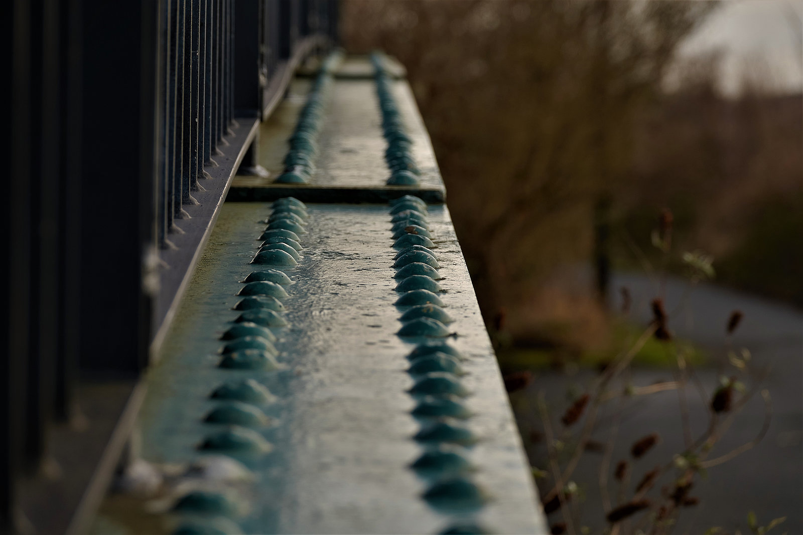 The Bridge