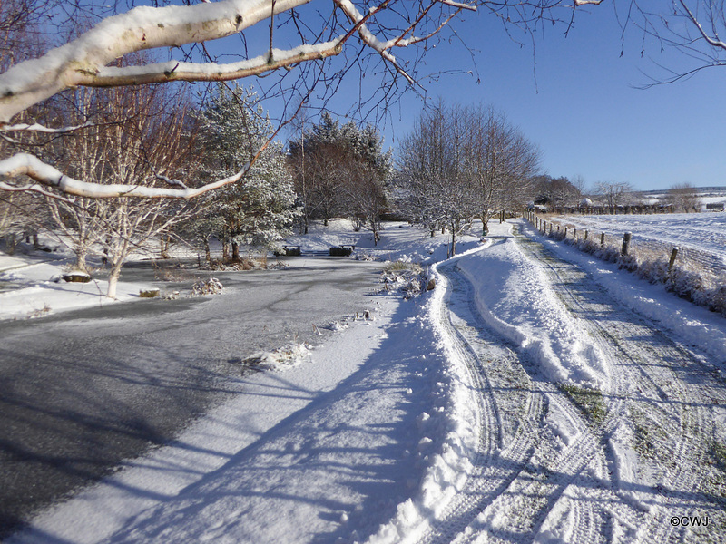 Snowplough operations needed this morning...