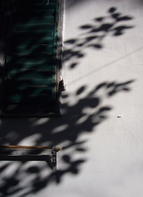 shadows fall on a closed window