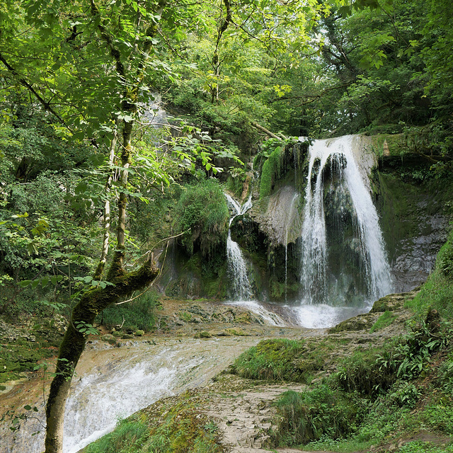 Un jardin qu'on appelait "La Terre"...