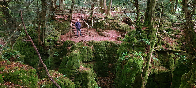 Puzzlewood