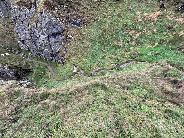 Part of the "path" on the Coastal Trail between Cullen and Findlater Castle