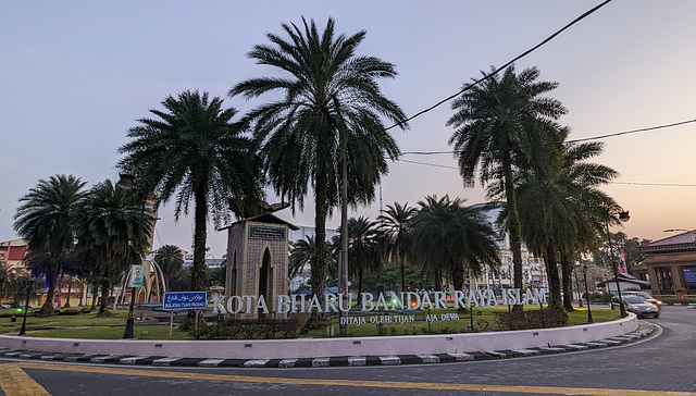 Rond-point et cocotiers / Roundabout and coconut trees