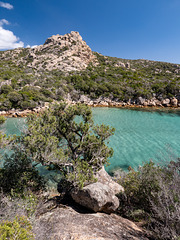 CORSICA - Cala Longa