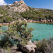 CORSICA - Cala Longa