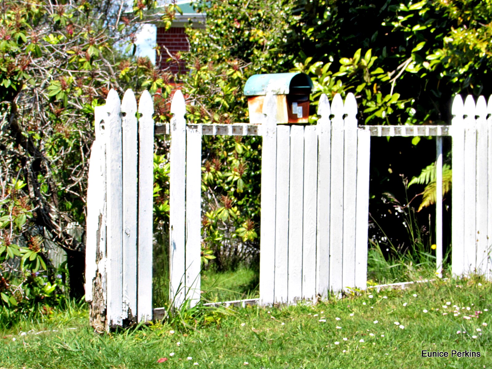 Broken Fence