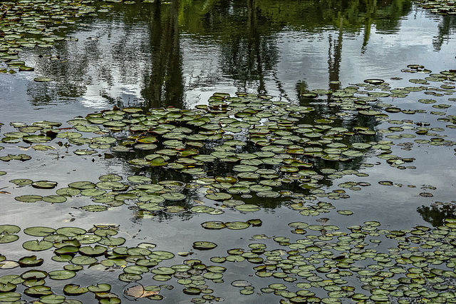 The lake.