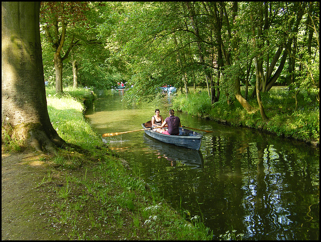 rowing through the green