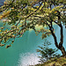 Seealpsee - Appenzell