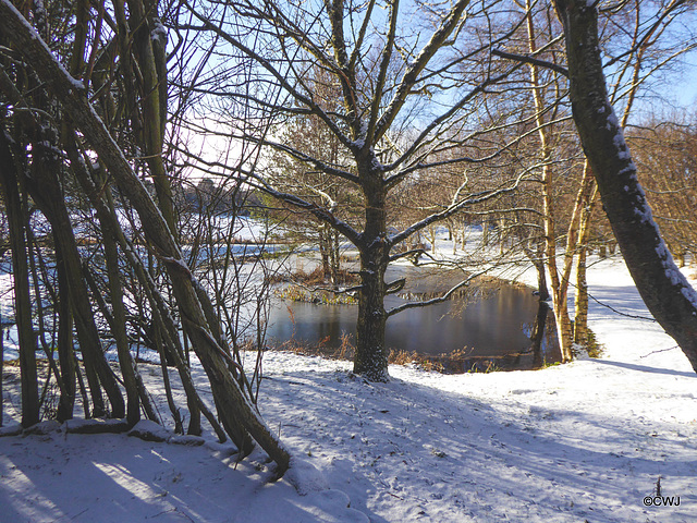 Sunshine snow and blue skies