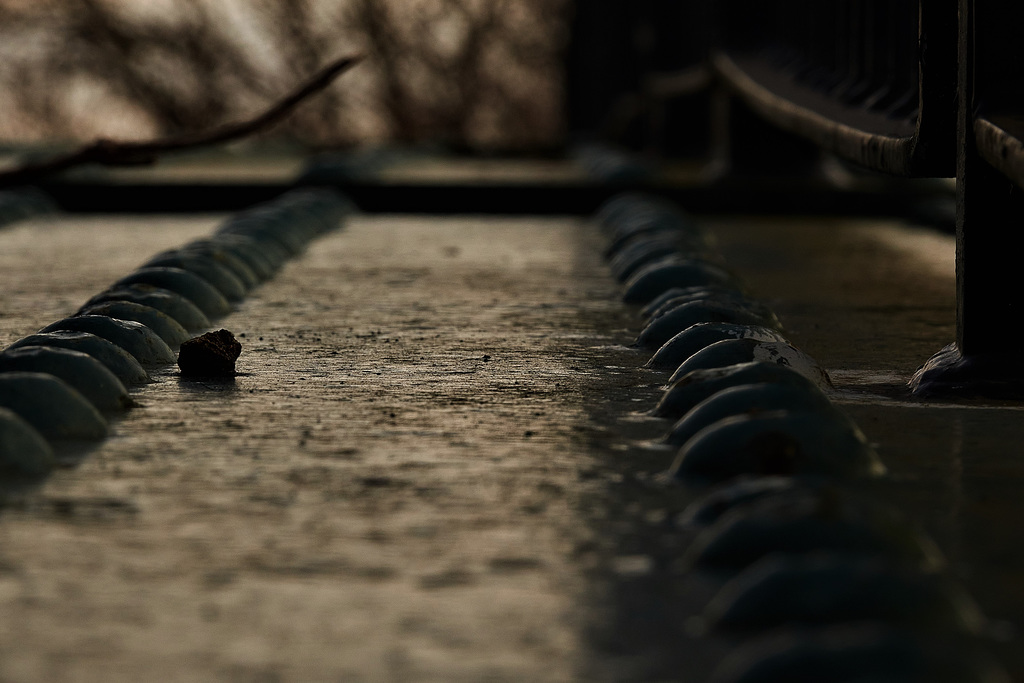 The Bridge
