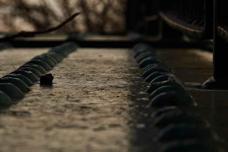 The Bridge